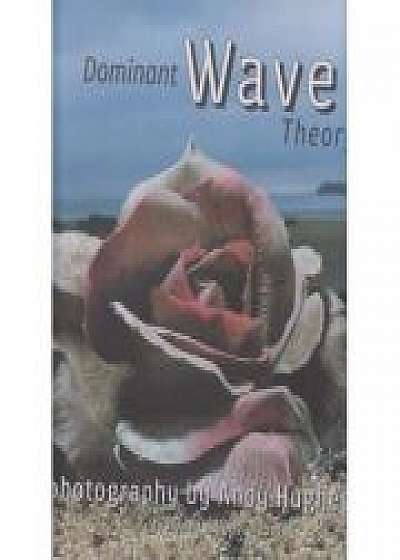 Dominant Wave Theory, David Carson