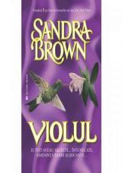 Coperta cărții Violul - Sandra Brown