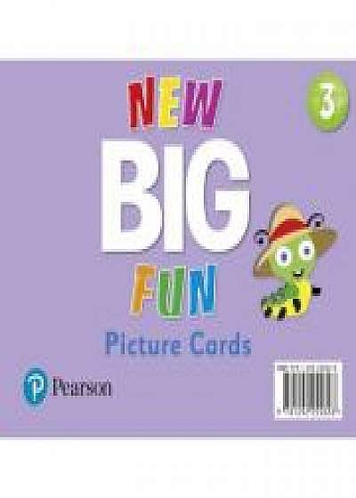 Coperta cărții Big Fun Refresh Level 3 Picture Cards