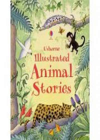 Illustrated animal stories