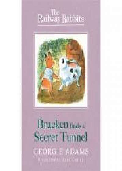 Railway Rabbits: Bracken Finds a Secret Tunnel