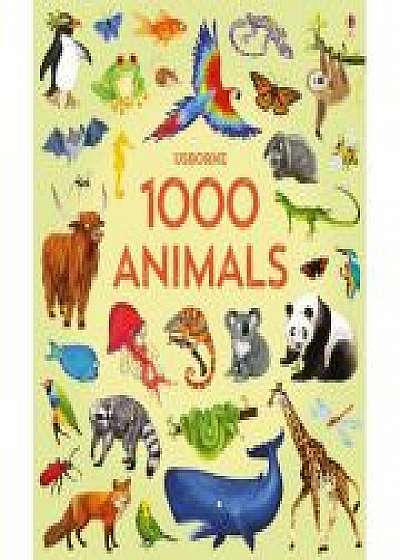 1000 animals