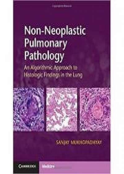 Non-Neoplastic Pulmonary Pathology with Online Resource: An Algorithmic Approach to Histologic Findings in the Lung