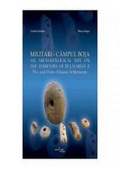 Militari-Campul Boja. An Archaeological Site on the Territory of Bucharest. II. Pre- and Proto-Historic Settlements, Mircea Negru