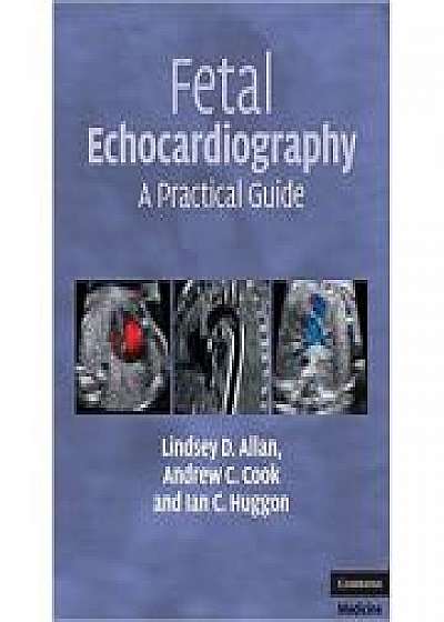 Fetal Echocardiography: A Practical Guide, Andrew C. Cook, Ian C. Huggon