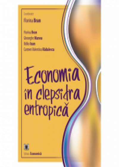 Economia in clepsidra entropica, Gheorghe Manea, Ildikó Ioan, Carmen Valentina Radulescu
