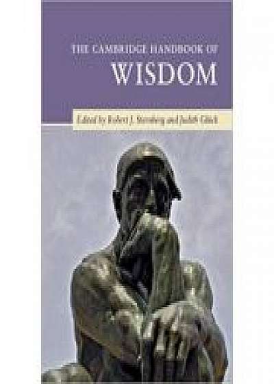 The Cambridge Handbook of Wisdom, Judith Gluck