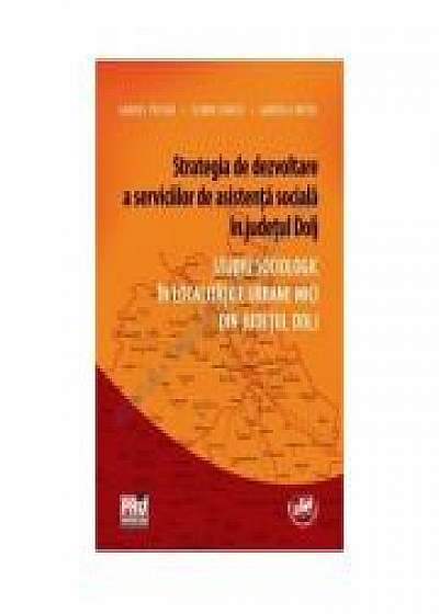 Coperta cărții Strategia de dezvoltare a serviciilor de asistenta sociala in judetul Dolj. Studiu sociologic in localitatile urbane mici din judetul Dolj, Florin Stancu, Gabriela Motoi