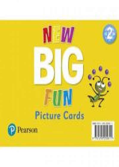 Coperta cărții Big Fun Refresh Level 2 Picture Cards