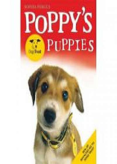 Coperta cărții Poppy's Dogs Trust Puppies de Sophia Fergus