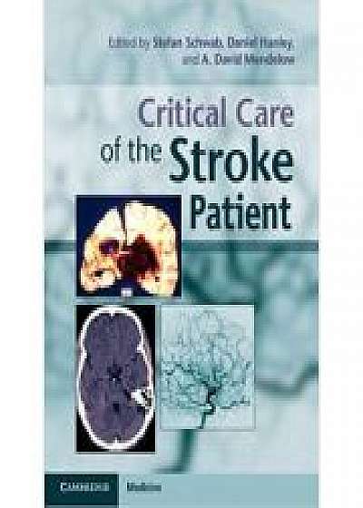 Coperta cărții Critical Care of the Stroke Patient, Daniel Hanley, A. David Mendelow