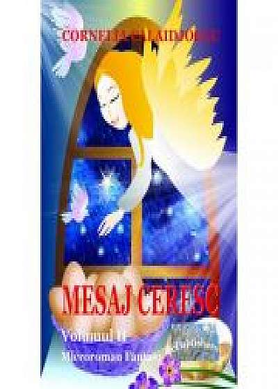 Coperta cărții Mesaj ceresc. Microroman fantasy. Volumul II