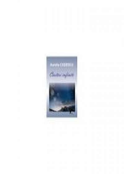 Coperta cărții Cautari infinite de Aurelia Codescu