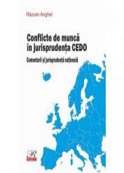 Conflicte de munca in jurisprudenta CEDO. Comentarii si jurisprudenta nationala