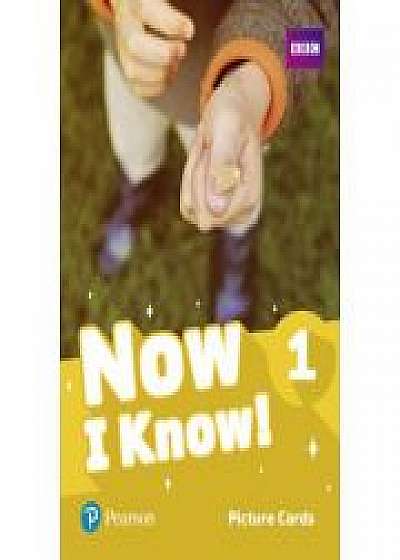 Now I Know! 1 Picture Cards