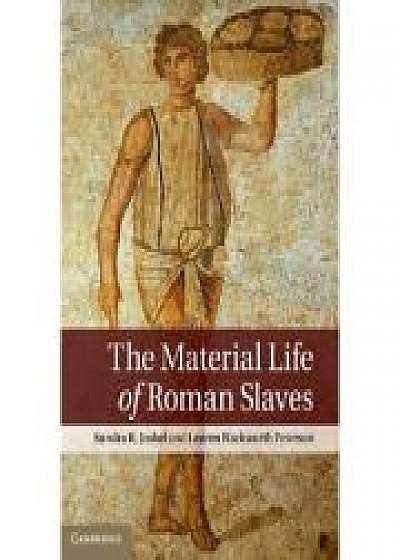 Coperta cărții The Material Life of Roman Slaves, Lauren Hackworth Petersen