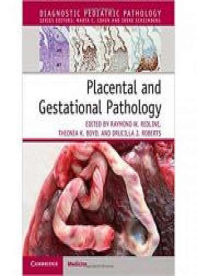 Placental and Gestational Pathology Hardback with Online Resource, Theonia K. Boyd, Drucilla J. Roberts