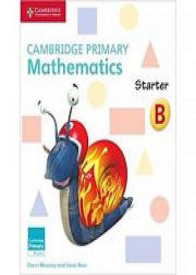 Cambridge Primary Mathematics Starter Activity Book B, Janet Rees