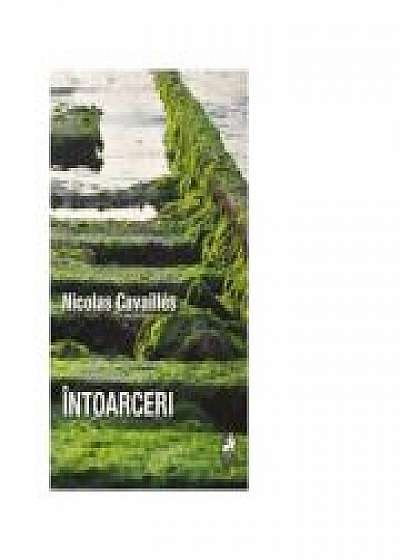 Coperta cărții Intoarceri
