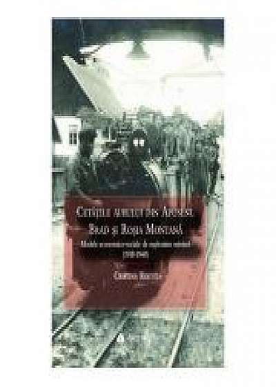 Cetatile aurului din Apuseni. Brad si Rosia Montana - Modele economico-sociale de exploatare miniera - (1918-1948)