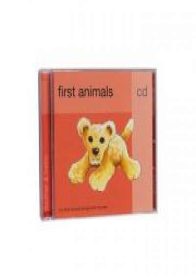 First Animals
