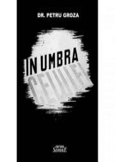 Coperta cărții In umbra celulei