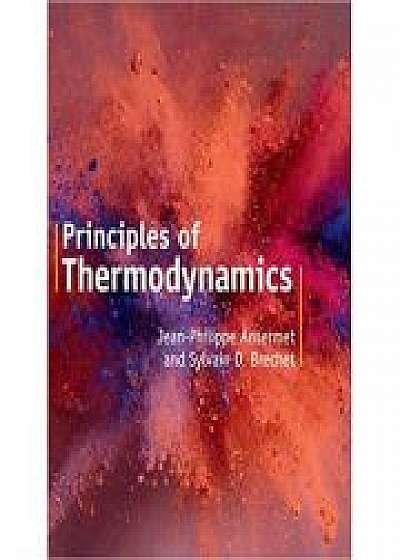 Principles of Thermodynamics, Sylvain D. Brechet