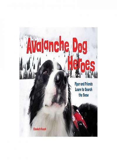 Avalanche Dog Heroes: Piper and Friends Learn to Search the Snow