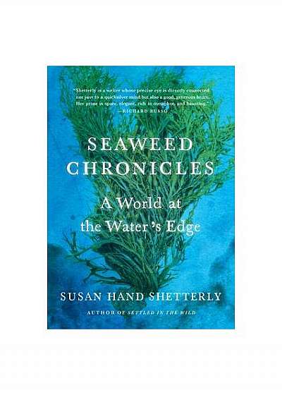 The Seaweed Chronicles: A World at the Water's Edge