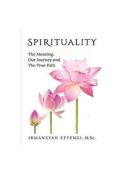 Spirituality: The Meaning, Our Journey and the True Path