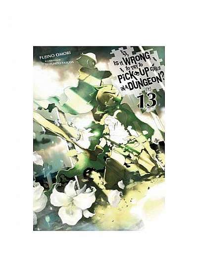 Is It Wrong to Try to Pick Up Girls in a Dungeon?, Vol. 13 (Light Novel)