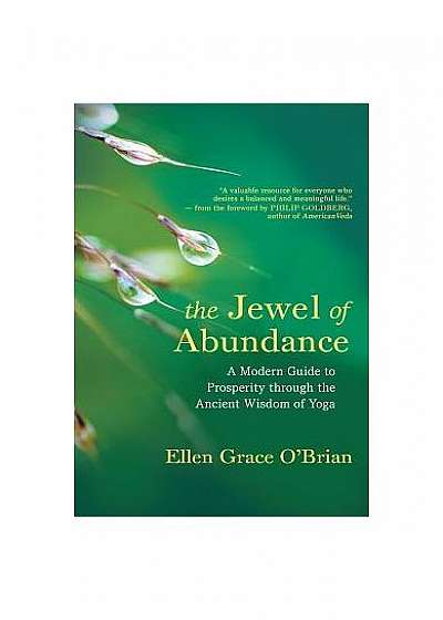 The Jewel of Abundance: A Modern Guide to Prosperity Through the Ancient Wisdom of Yoga