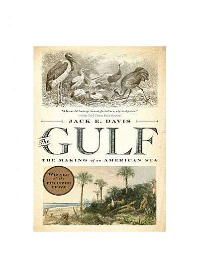 The Gulf: The Making of an American Sea