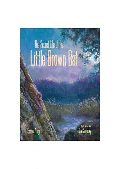 The Secret Life of the Little Brown Bat