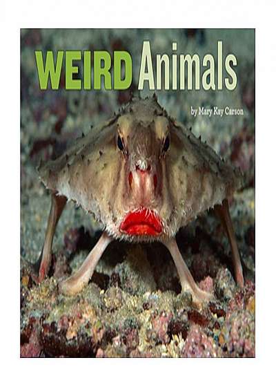 Weird Animals