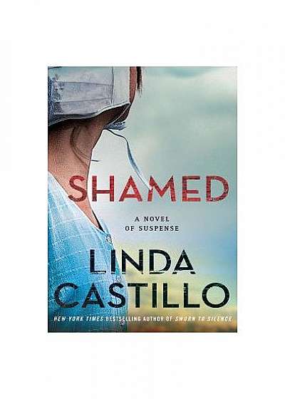 Shamed: A Kate Burkholder Novel