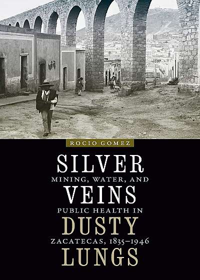 Coperta cărții Silver Veins, Dusty Lungs