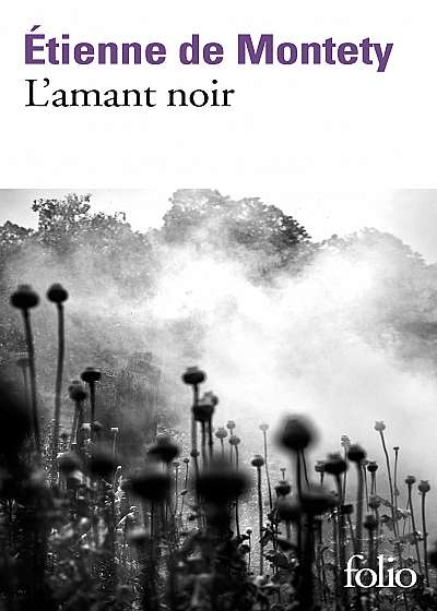 Coperta cărții L'amant noir de Etienne De Montety