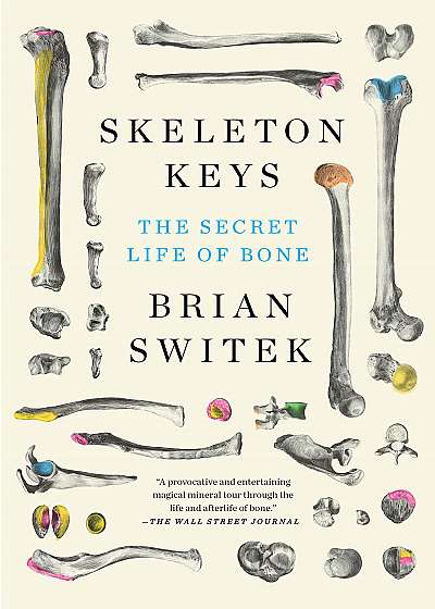 Skeleton Keys