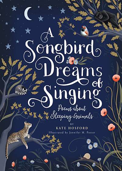 Songbird Dreams of Singing