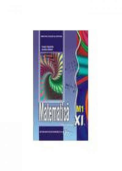 Manual matematica M1 - Manual pentru clasa a XI-a (Andras Szilard)