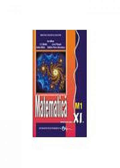 Manual matematica M1 - clasa a XI-a (Ion Mihai)