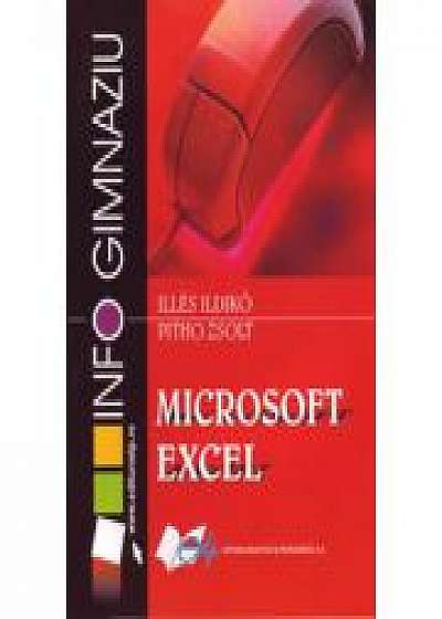 Microsoft Excel - gimnaziu