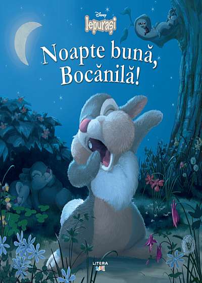 Noapte buna, Bocanila!