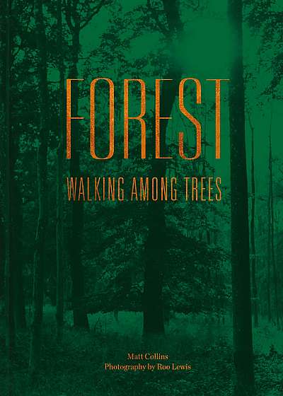 Forest : Walking Among Trees