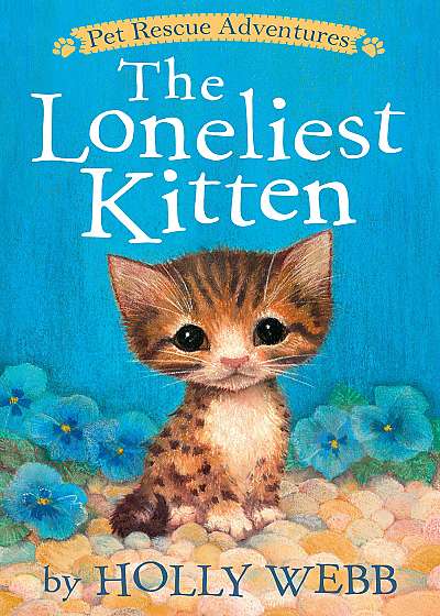 Loneliest Kitten