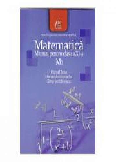 Matematica (M1)- Manual pentru clasa a XI-a, (Marian Andronache)