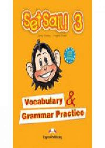 Set Sail 3. Vocabulary and Grammar Practice, Curs pentru limba engleza, clasa III-a