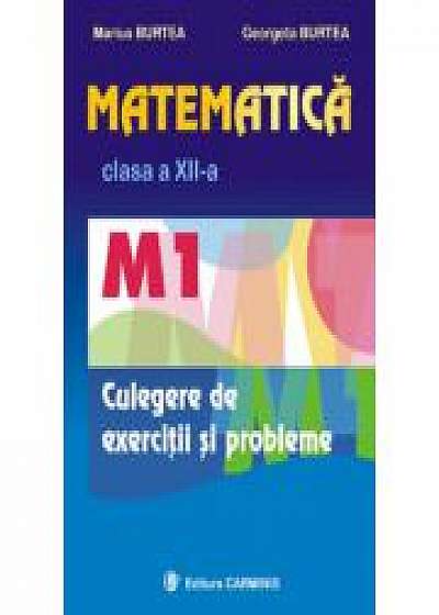 Matematica M1 - culegere pentru clasa a XII-a