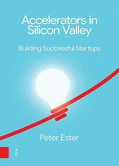 Accelerators in Silicon Valley